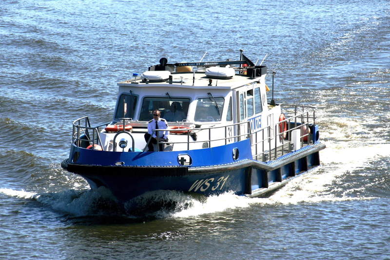 WS31