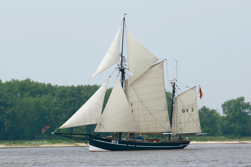 BV2 VEGESACK