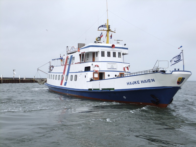 HAUKE HAIEN