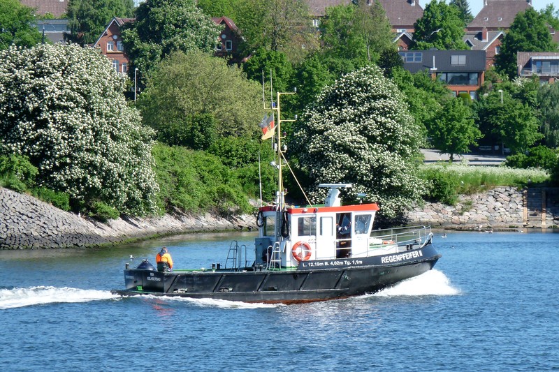 REGENPFEIFER  II
