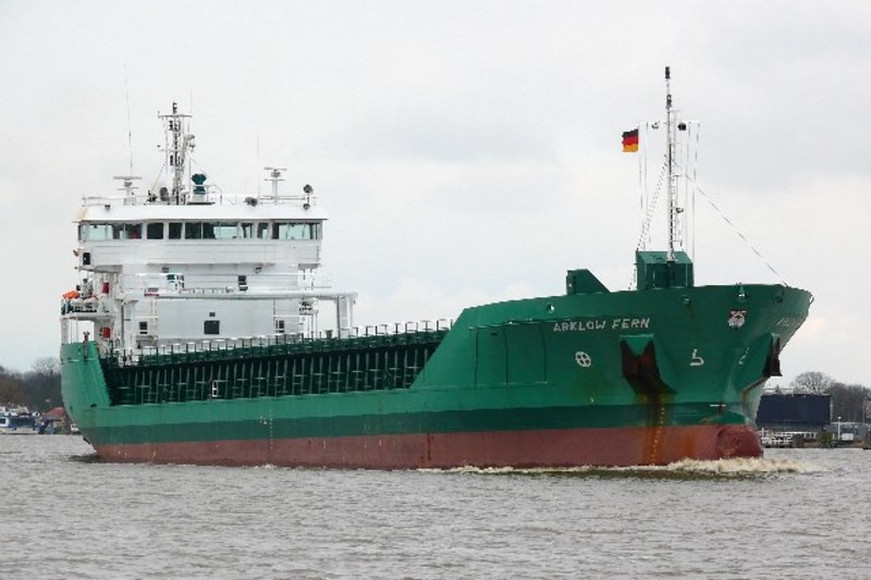 ARKLOW FERN