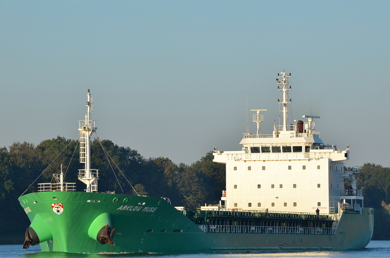 ARKLOW MUSE