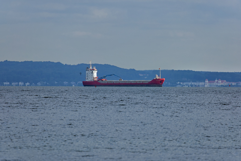 FEED FISKAA