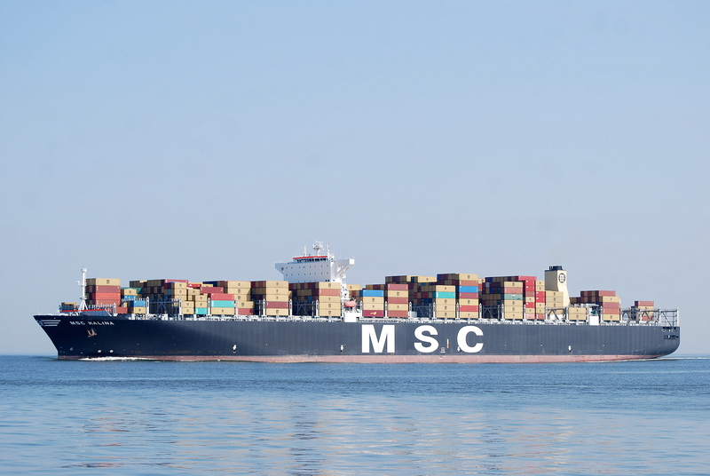 MSC KALINA