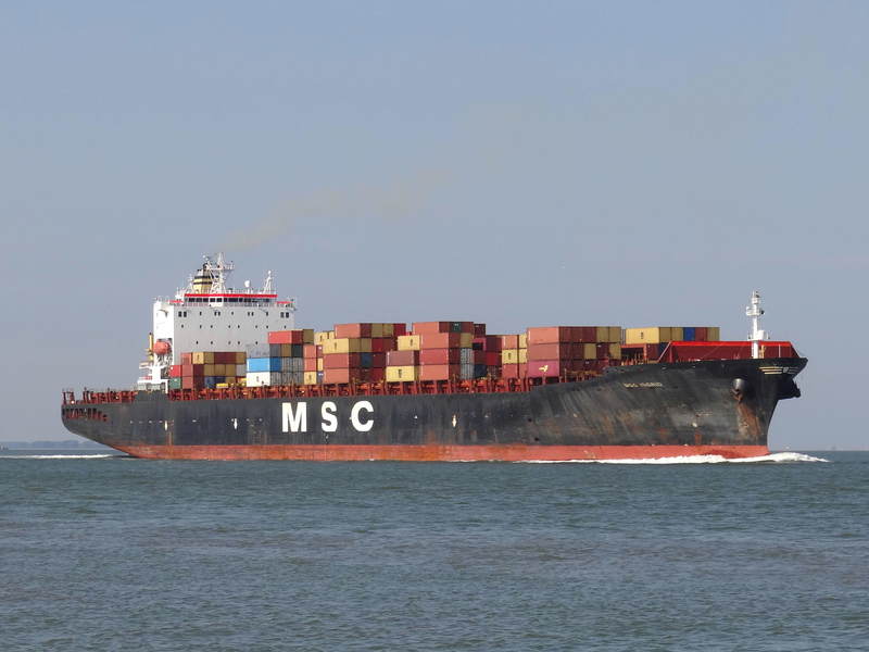 MSC INGRID